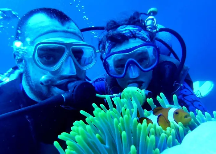 Hoga Island Dive Resort